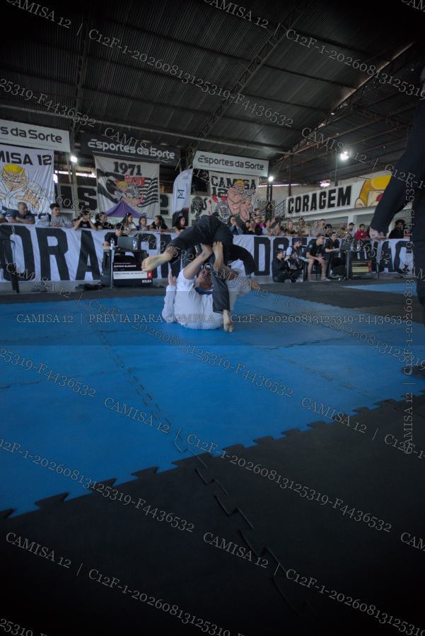 Prévia protegida da foto C12F-1-20260813125319-F4436532